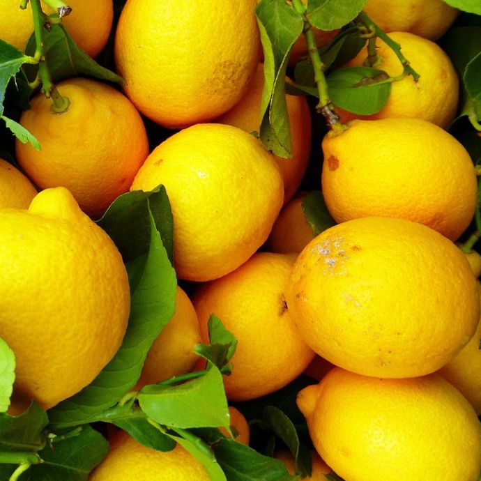 Benefits of Lemons: Health & Nutrition