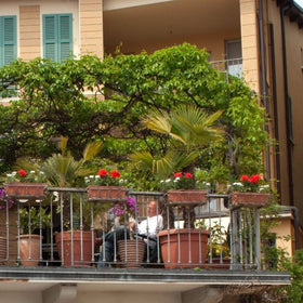 balcony garden ideas