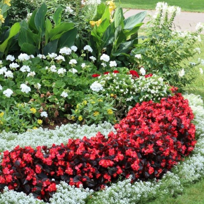 How to Design a Flower Bed | Roots Plants