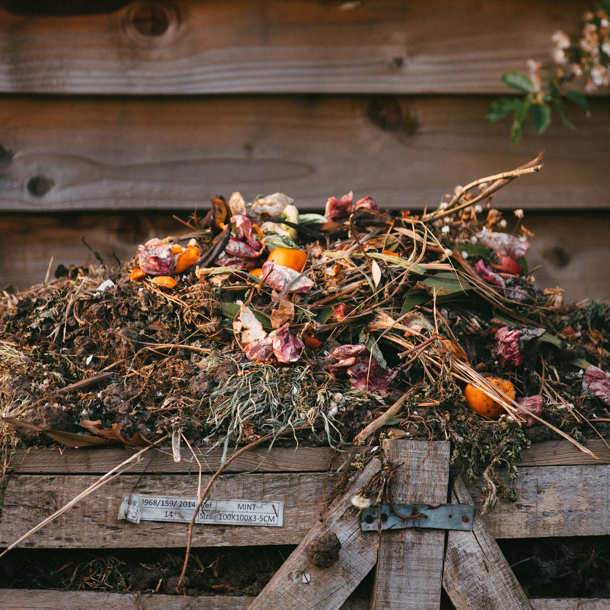 Is All Compost the Same?