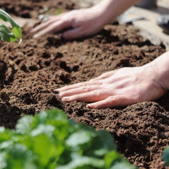 How to Make Your Own Compost