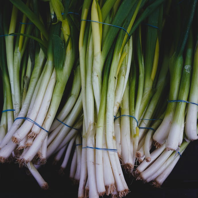 How to Grow Leeks