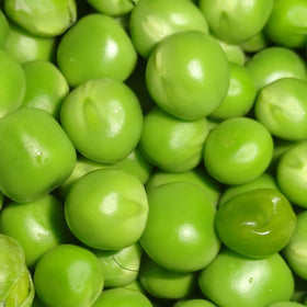 How to Support your Peas and Beans