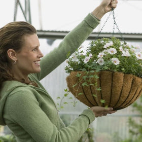 winter hanging baskets