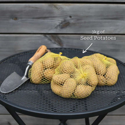 Full Season Seed Potato Pack | Growers' Choice Vegetables