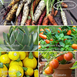 Adventurer's Allotment in a Box | Unusual Vegetables Collection Vegetables