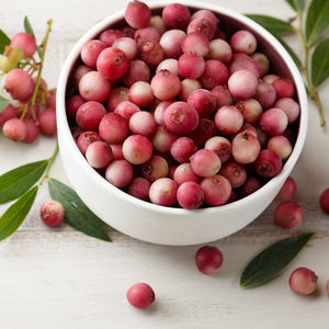 'Pink Lemonade' Blueberry Bush Soft Fruit