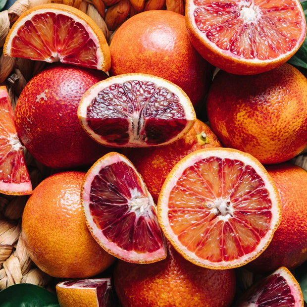 Blood Orange Tree | Citrus sinensis Soft Fruit