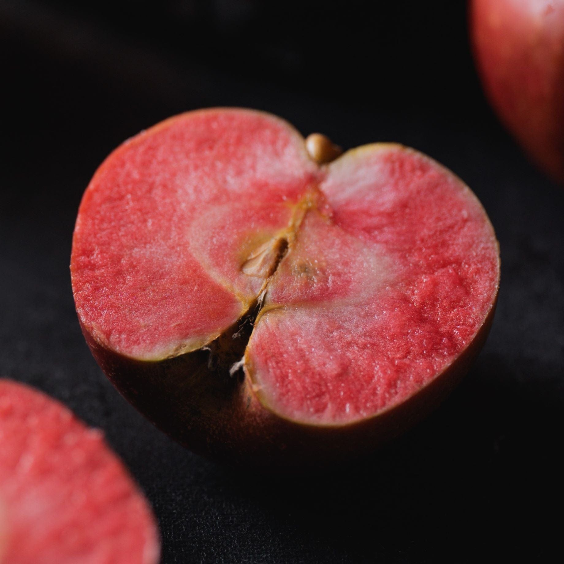 'Bloody Ploughman' Apple Tree