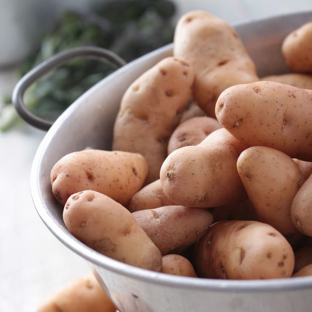 'Pink Fir Apple' Maincrop Salad Seed Potatoes Vegetables