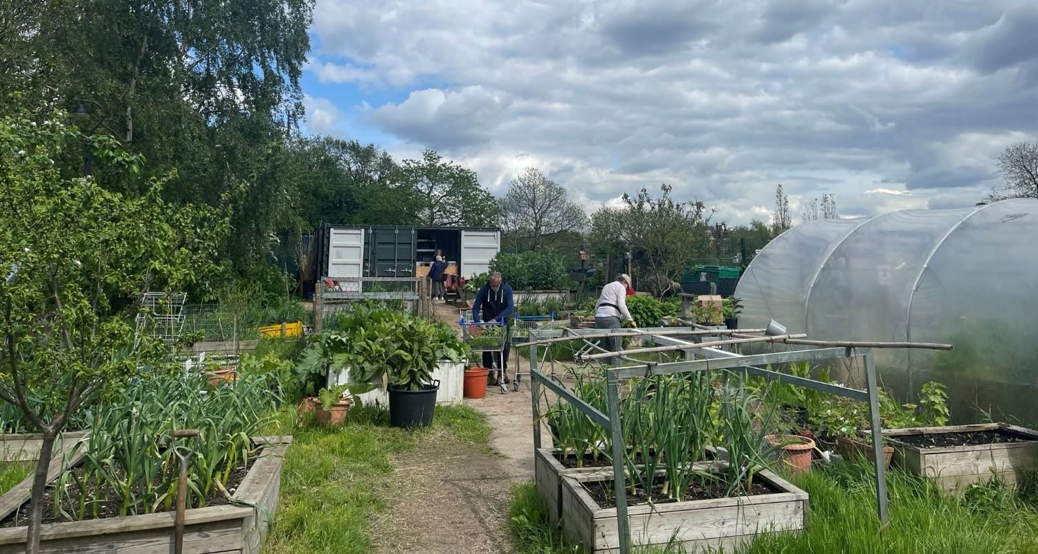 Bandstand Beds - May Garden of the Month