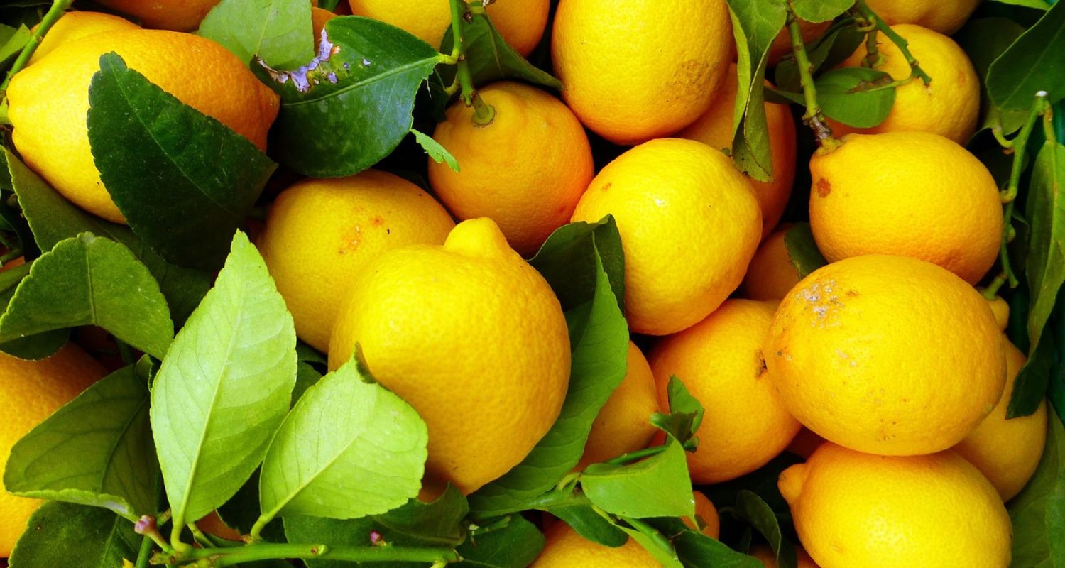 Benefits of Lemons: Health & Nutrition