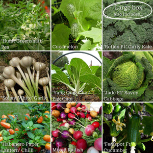 Gourmet Vegetables Collection Vegetables