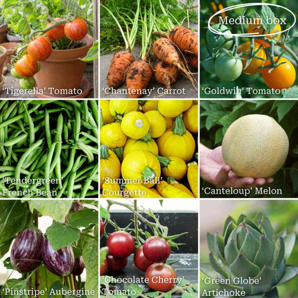 Gourmet Vegetables Collection Vegetables