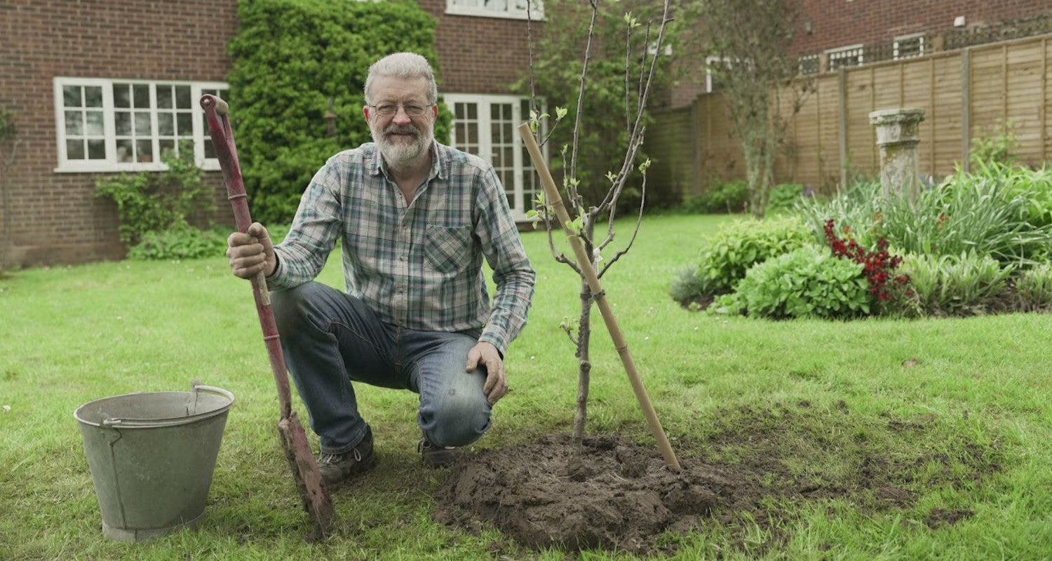 How To Plant a Tree: Potted Trees and Bare Root