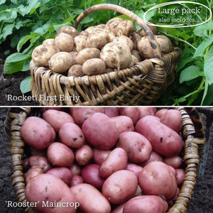 Full Season Seed Potato Pack | Growers' Choice Vegetables