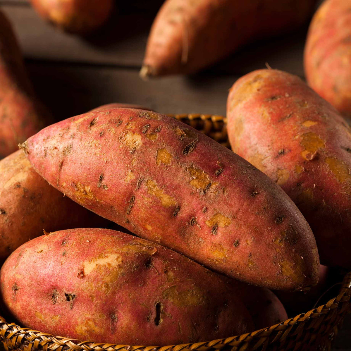 Sweet Potato 'beauregard' Plant – Roots Plants