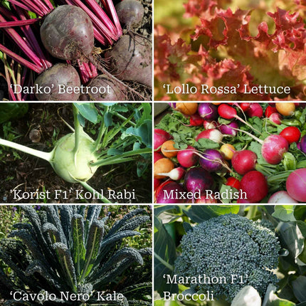 Best Vegetables for Shade | Grower's Choice Vegetables