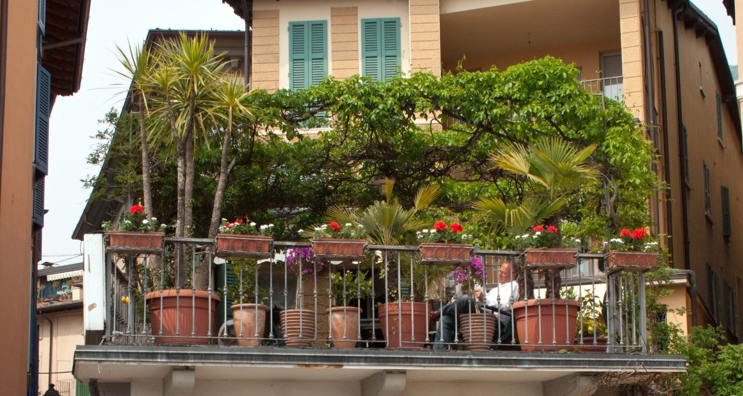 Balcony Garden Ideas for Beginners