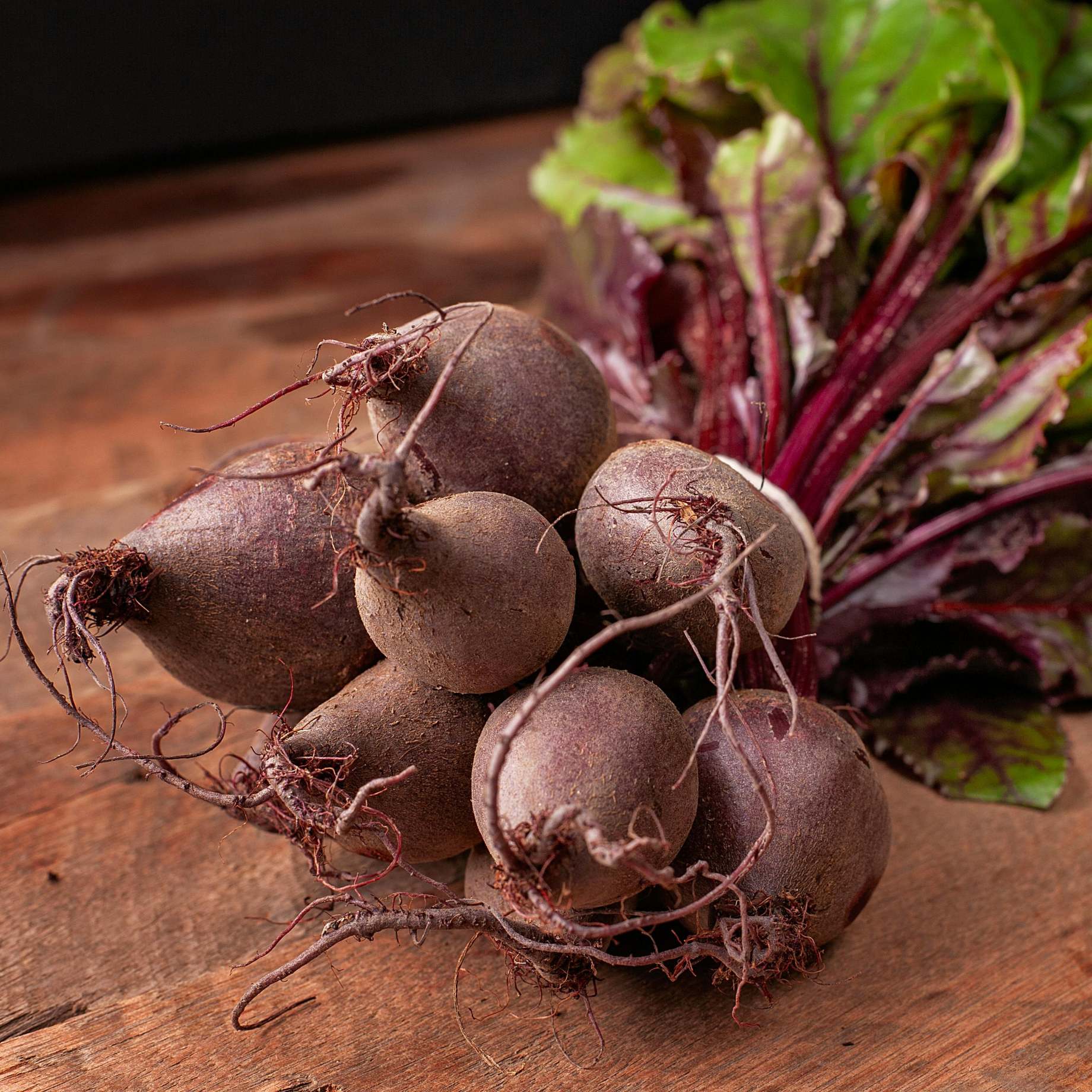 'Darko' Beetroot Plants