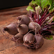 'Darko' Beetroot Plants Vegetables