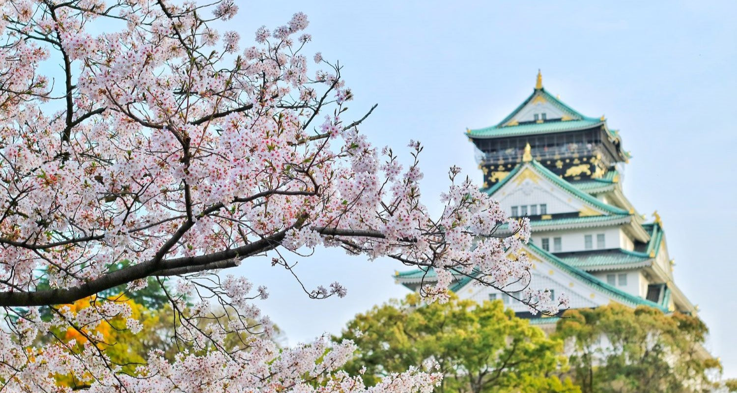 Cherry Blossom Season: Japan’s Hanami Festival