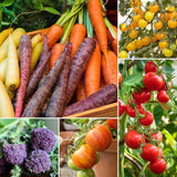 Colourful Vegetable Plants Vegetables