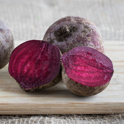 'Darko' Beetroot Plants