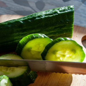 'F1 Femspot' Cucumber Plants