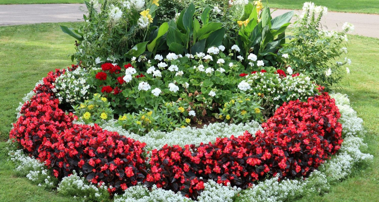 How to Design a Flower Bed