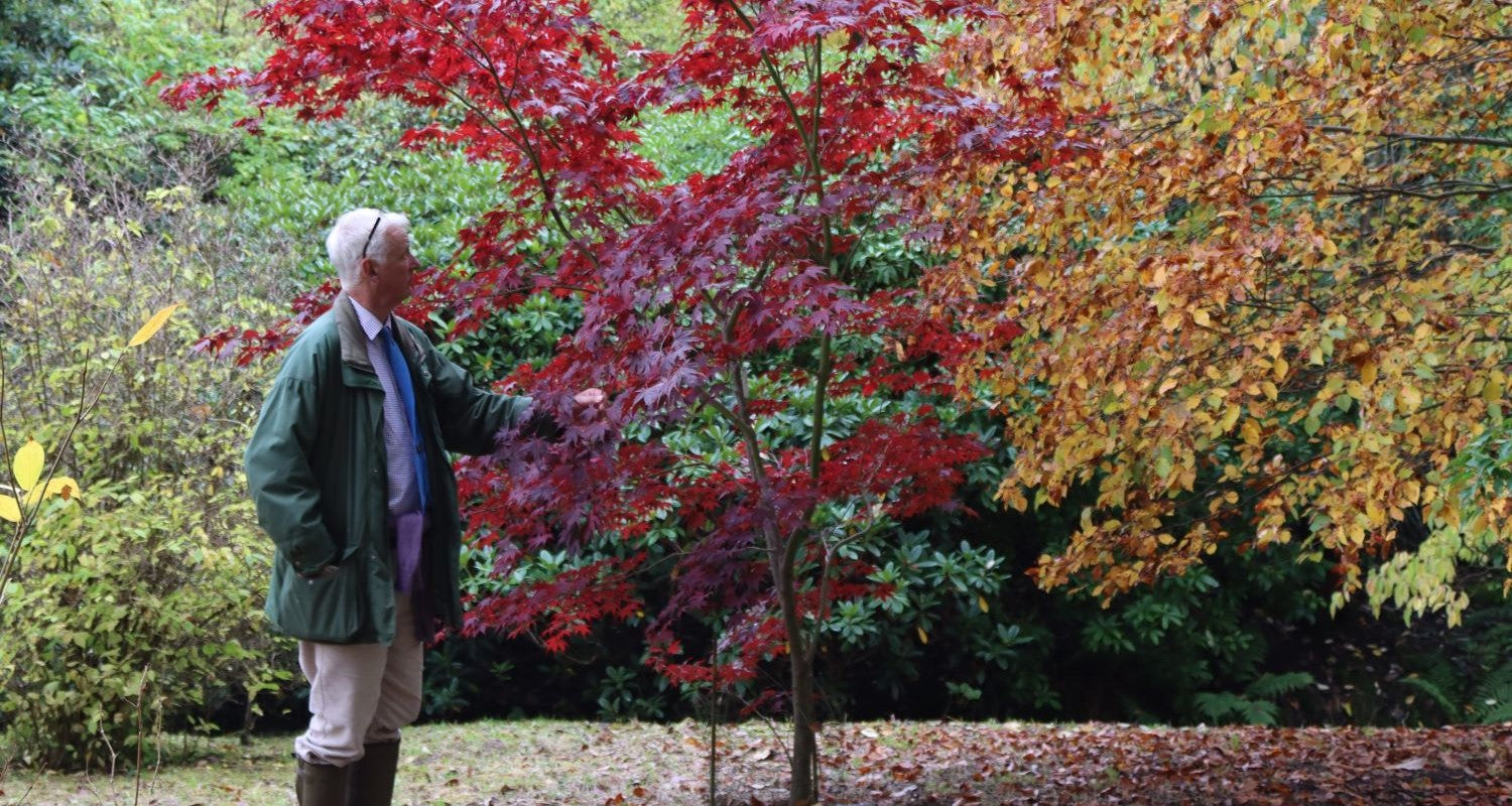 East Bergholt Place Gardens - November Garden of the Month