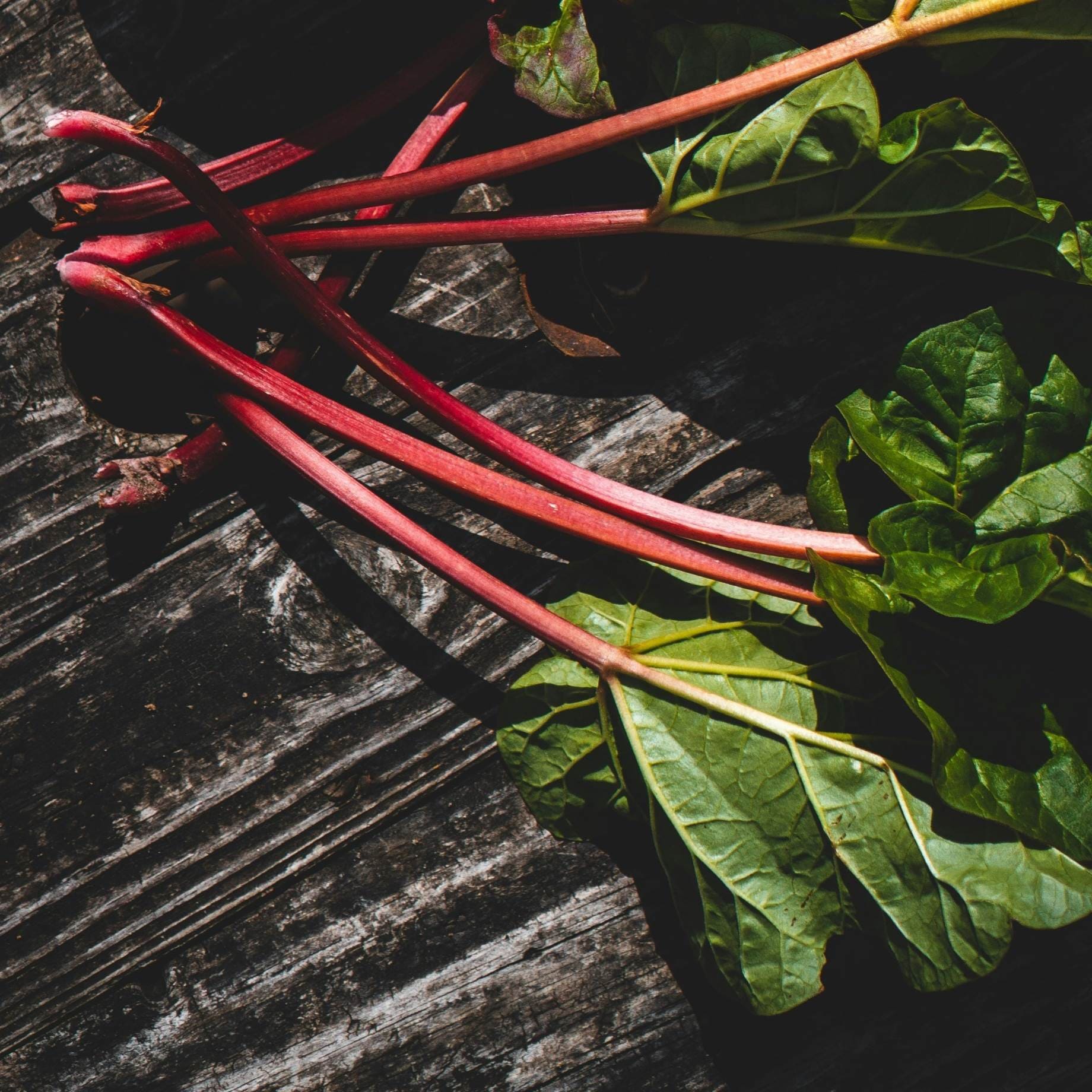 'Fulton's Strawberry Surprise' Rhubarb Plant