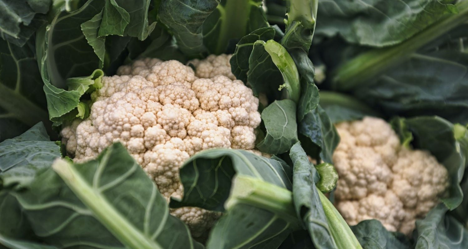 Growing Cauliflower: The Complete Guide