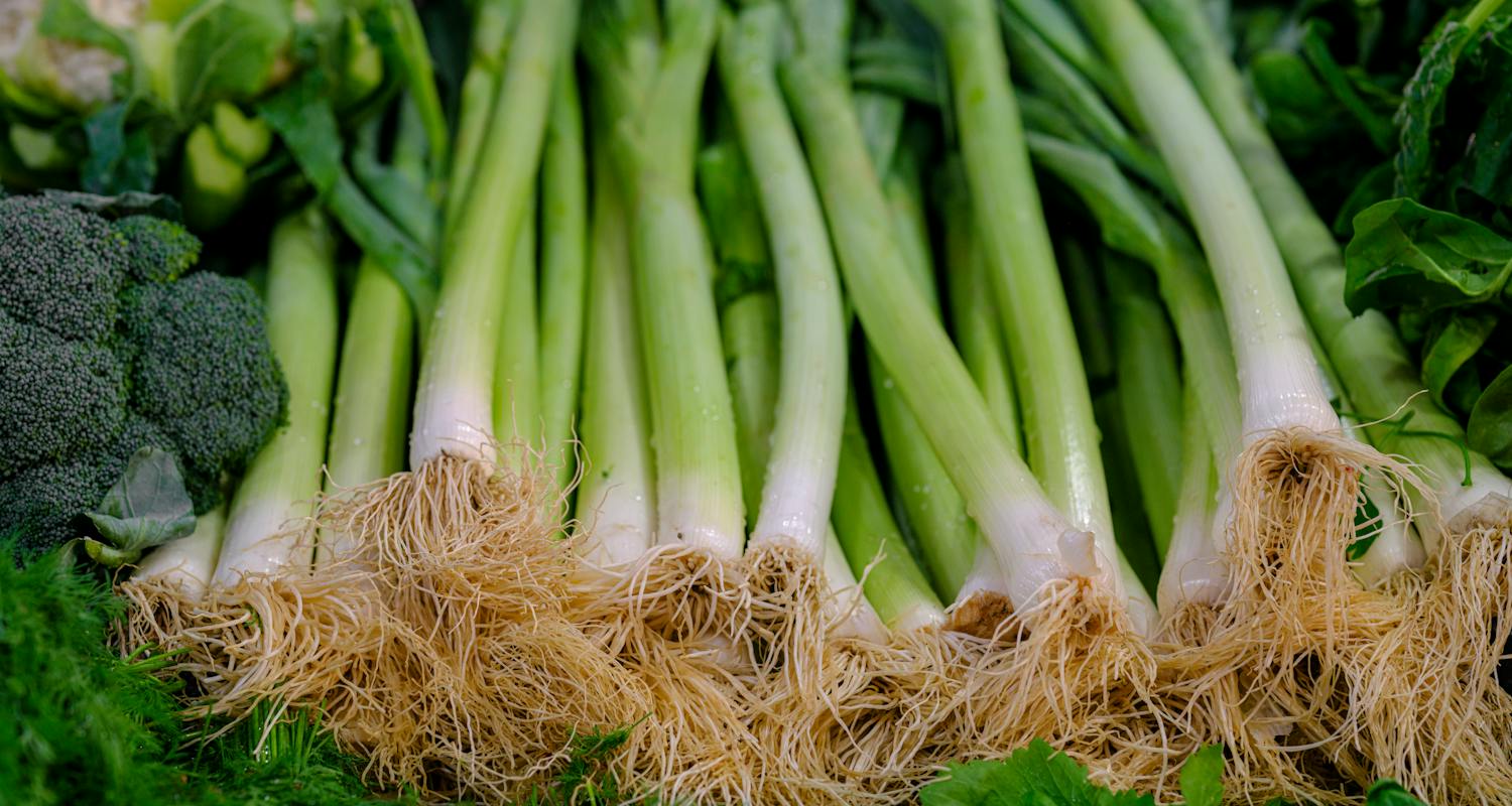 How to Grow Leeks