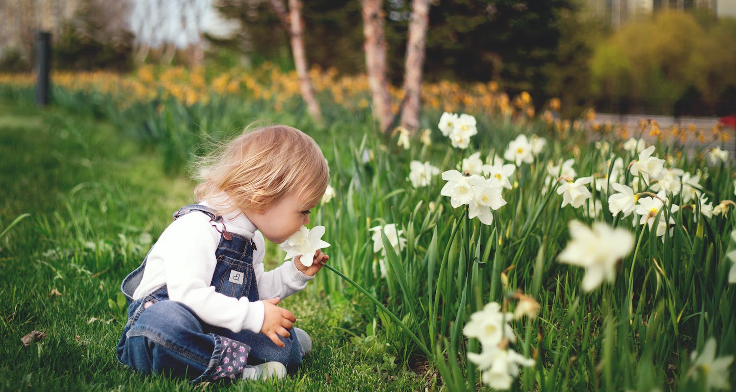 How To Get Your Kids Gardening This Summer