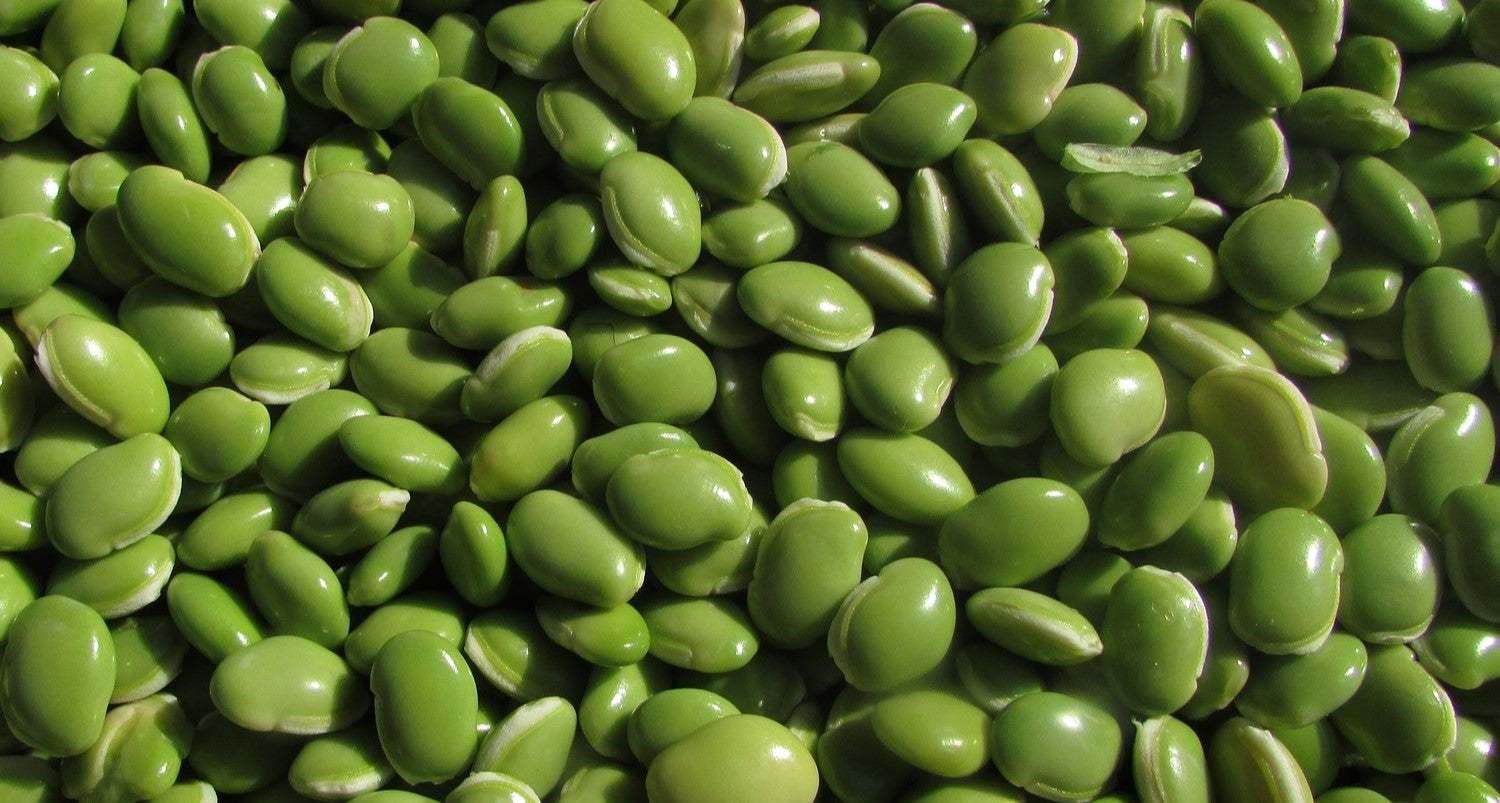 How to Support your Peas and Beans