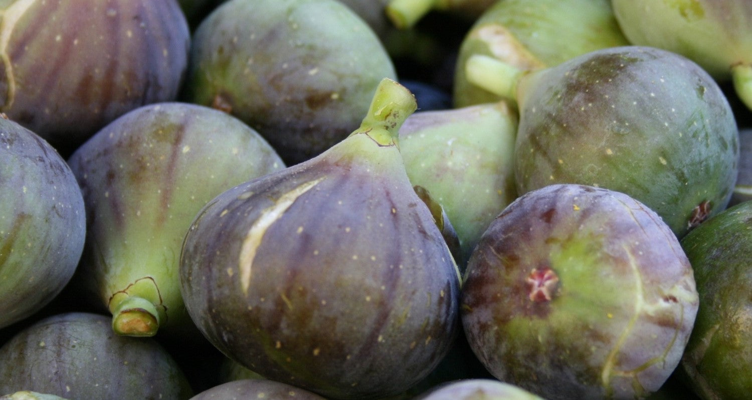 10 Fascinating Facts about Figs