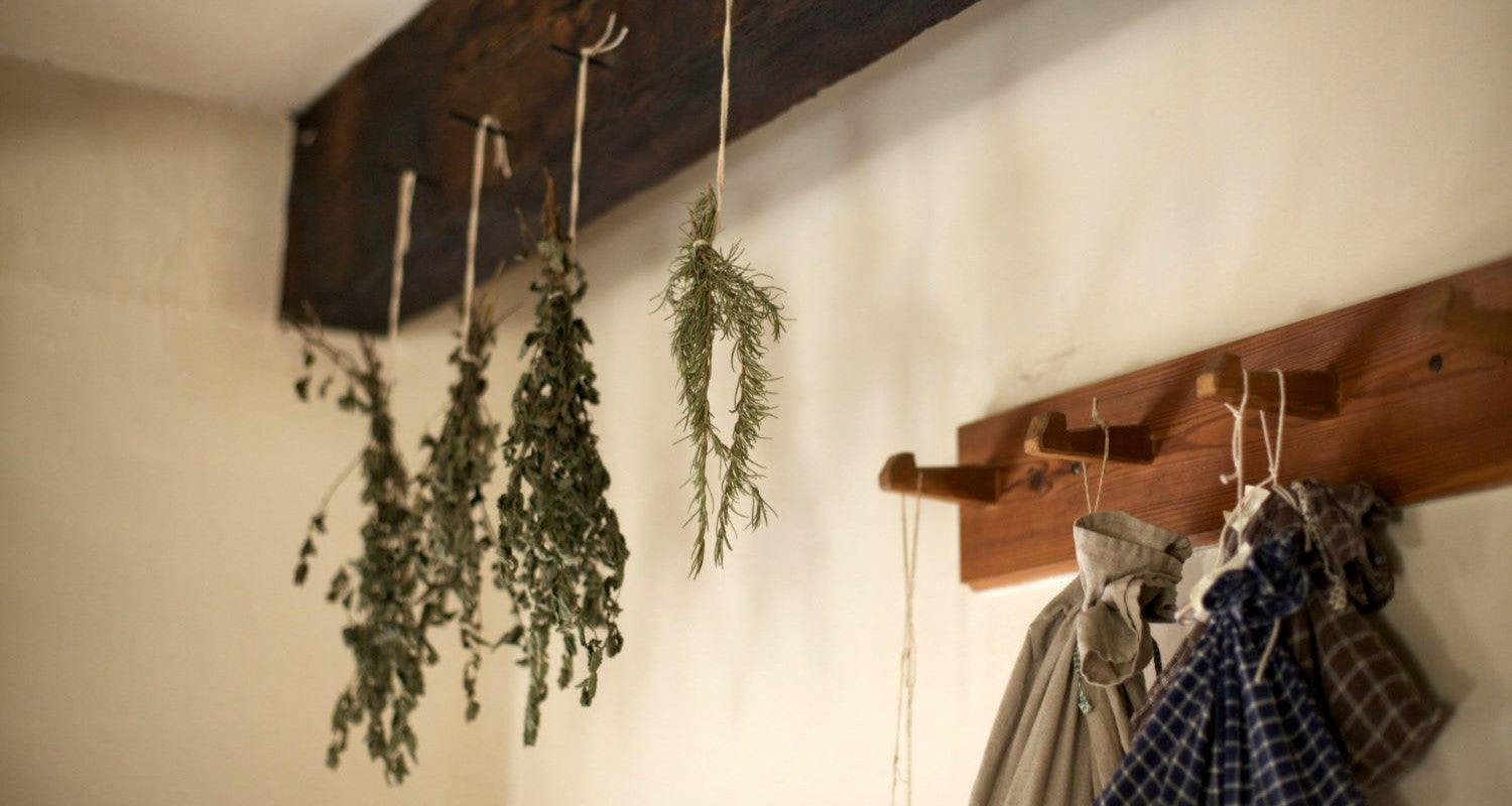 How to Dry Herbs