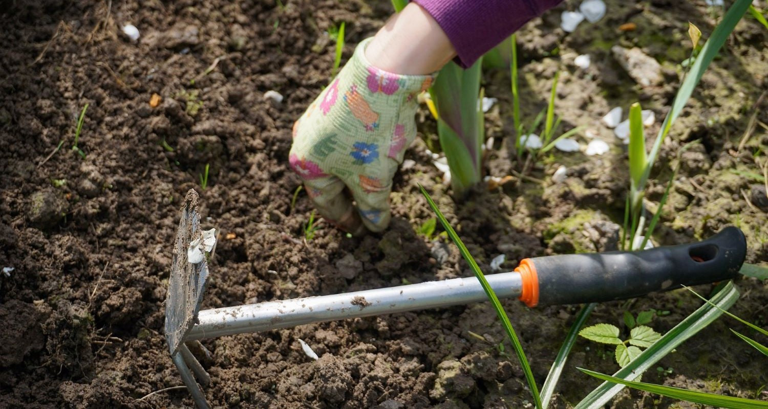 Why and How Do We Weed?