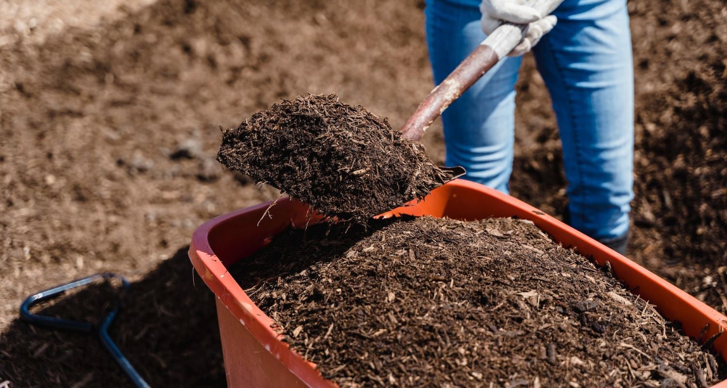 Is All Compost the Same?