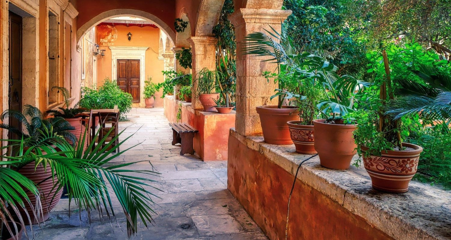 How to Plant a Mediterranean Garden