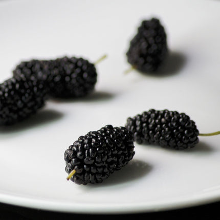 'Repsime' Mulberry Tree Soft Fruit