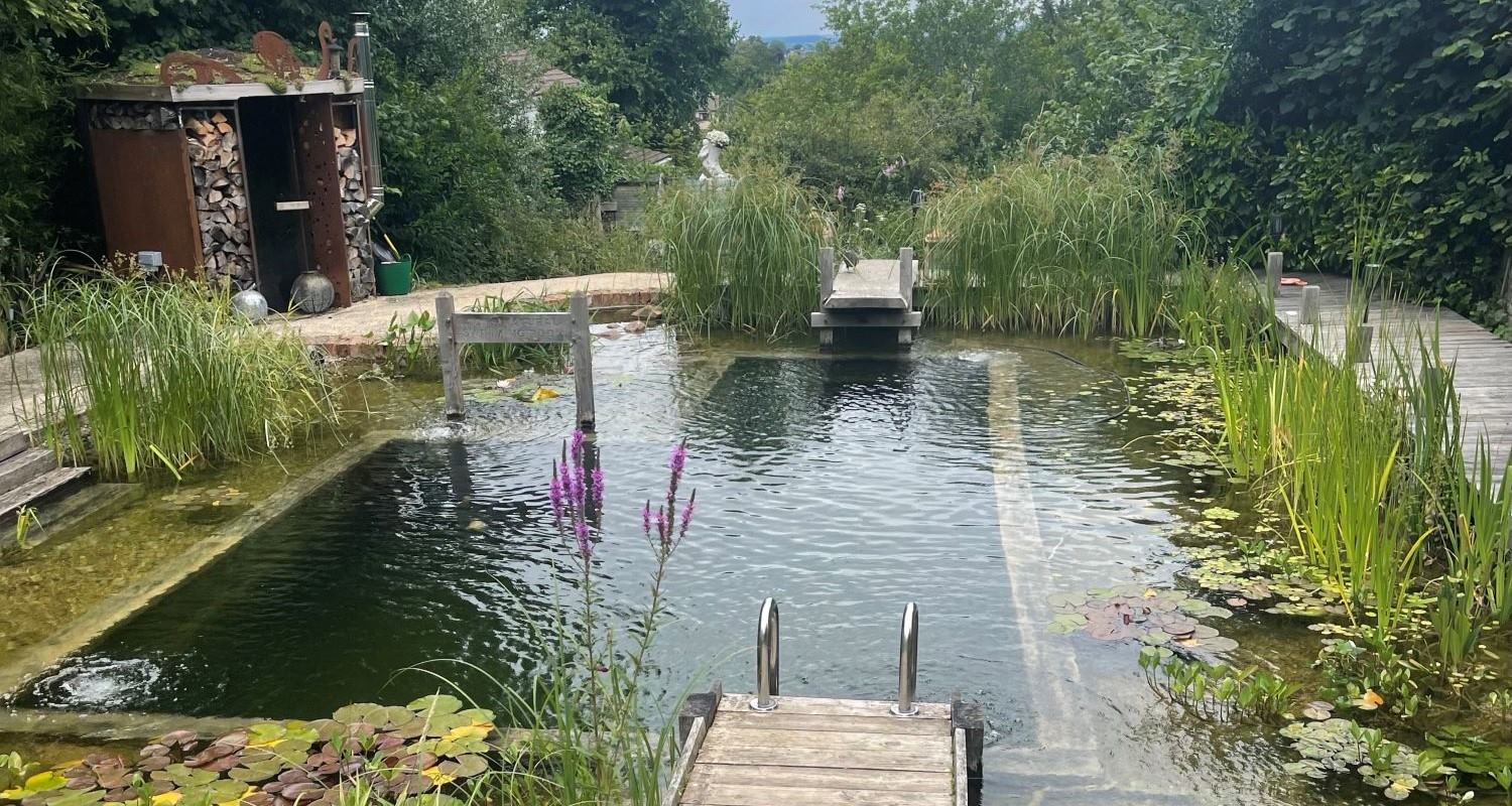 Cotswold Natural Swimming Pond - August Garden of the Month