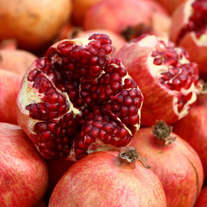 'Provence' Pomegranate Bush