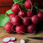 'Cherry Belle' Radish Plants Vegetables