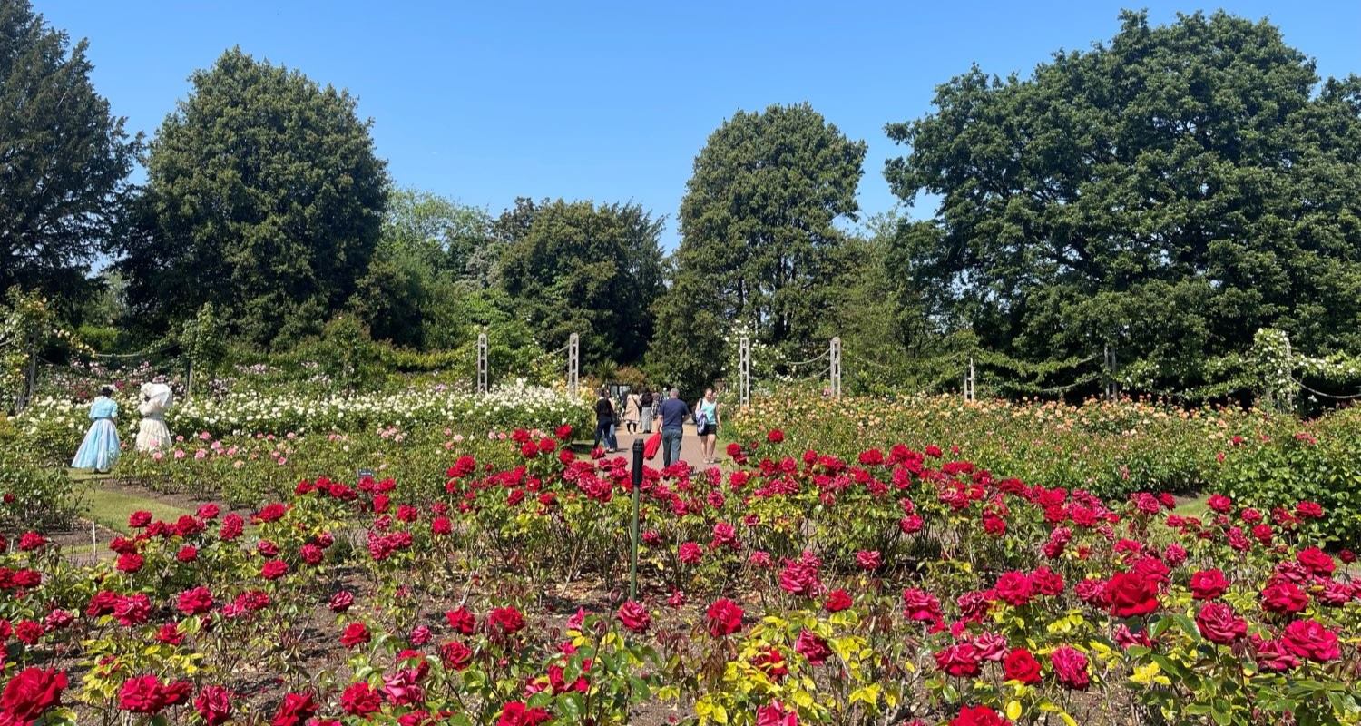 Regent’s Park Roses - June Garden of the Month