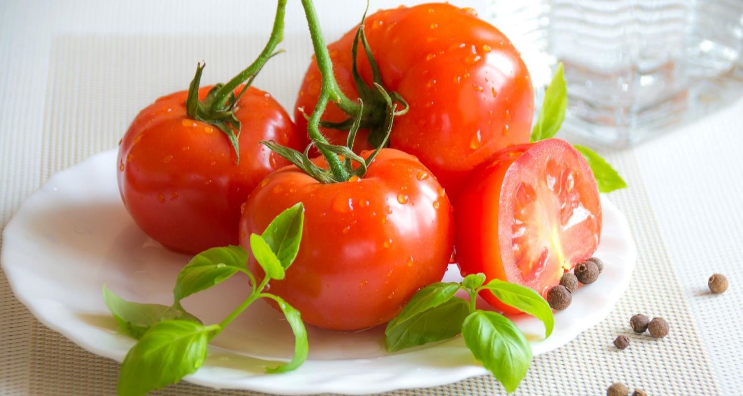 Tomato Benefits: Should You Grow Your Own?