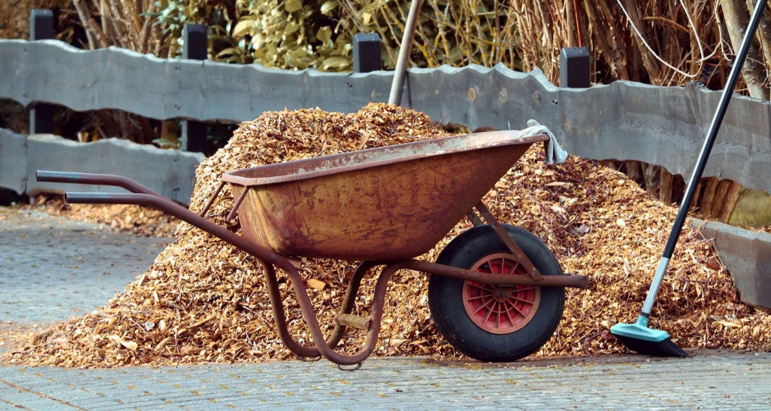 What Is Mulch? A Gardener's Guide to Mulching