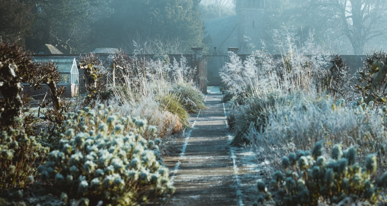 10 Garden Jobs for Winter