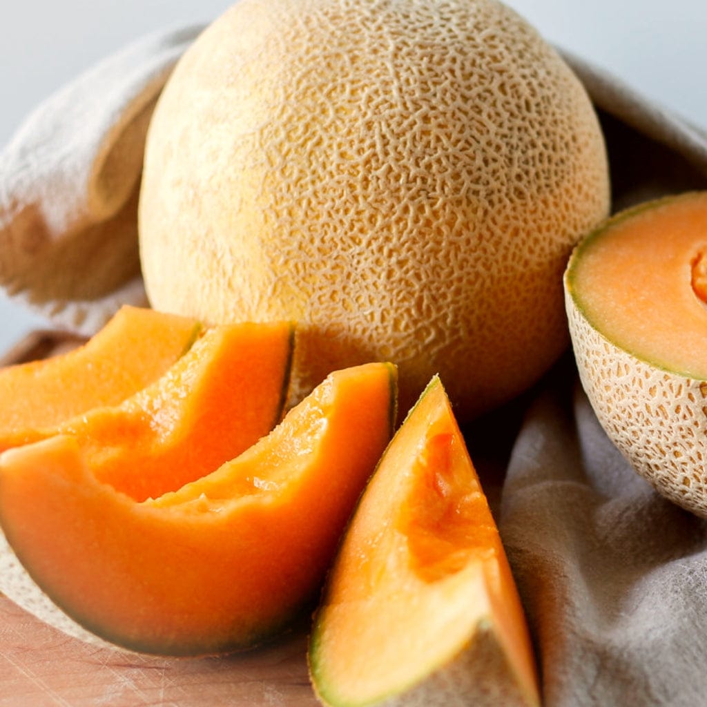 Cantaloupe Melon Plants - Roots Plants